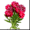 Букет Роскошных цветов
Подарок от smartcom