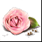 сувенир-Роза с жемчугом-
Подарок от missis