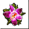 Орхидея
Подарок от The_Revenant
Вот, нашёл для тебя такую цветошку...